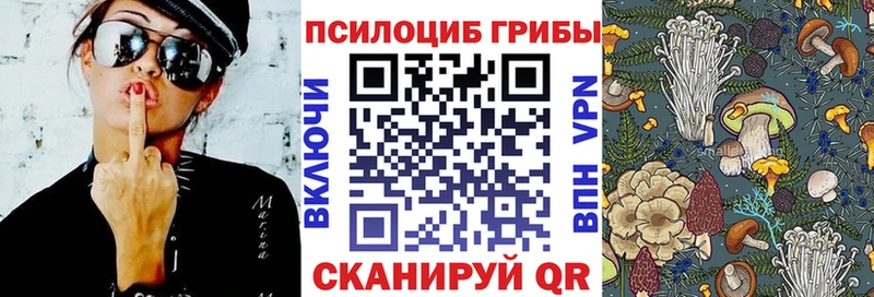 купить наркотики сайты  МЕГА рабочий сайт  Псилоцибиновые грибы GOLDEN TEACHER  Геленджик 